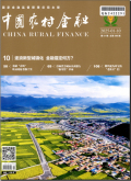 中国农村金融