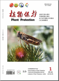 植物保护