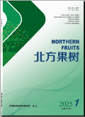 北方果树