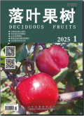 落叶果树