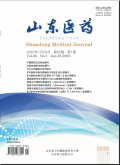山东医药