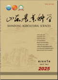 山东农业科学