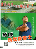 建筑砌块与砌块建筑
